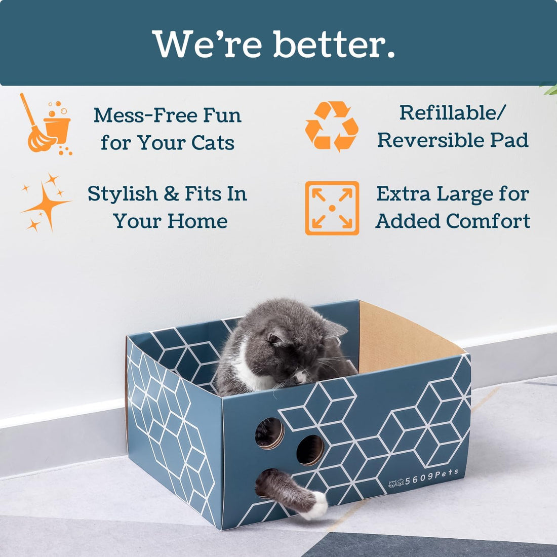 5609PETS Cat Scratching Box, Extra Large Refillable Double-Sided