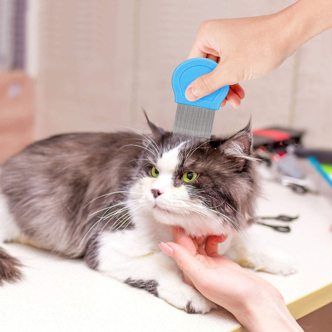 Flea Comb For Dogs & Cats Pet Comb Grooming Set 5 Pieces Metal Teeth