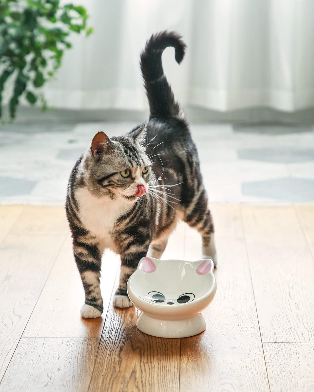 Raised Ceramic Cat Food Bowl, Tilted for Neck Comfort