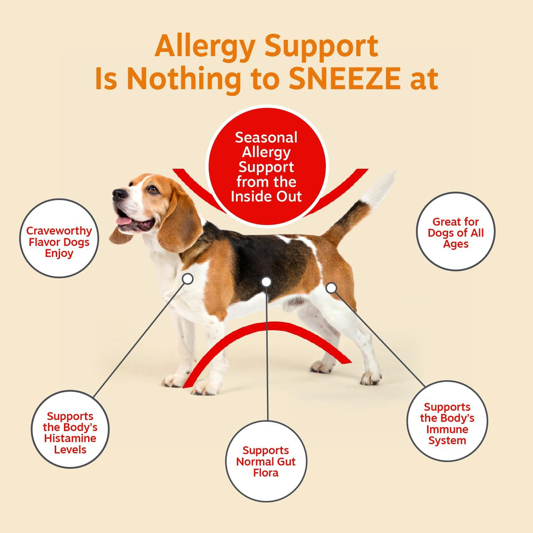 Zesty Paws Allergy Immune Bites - Dog Allergy Chews