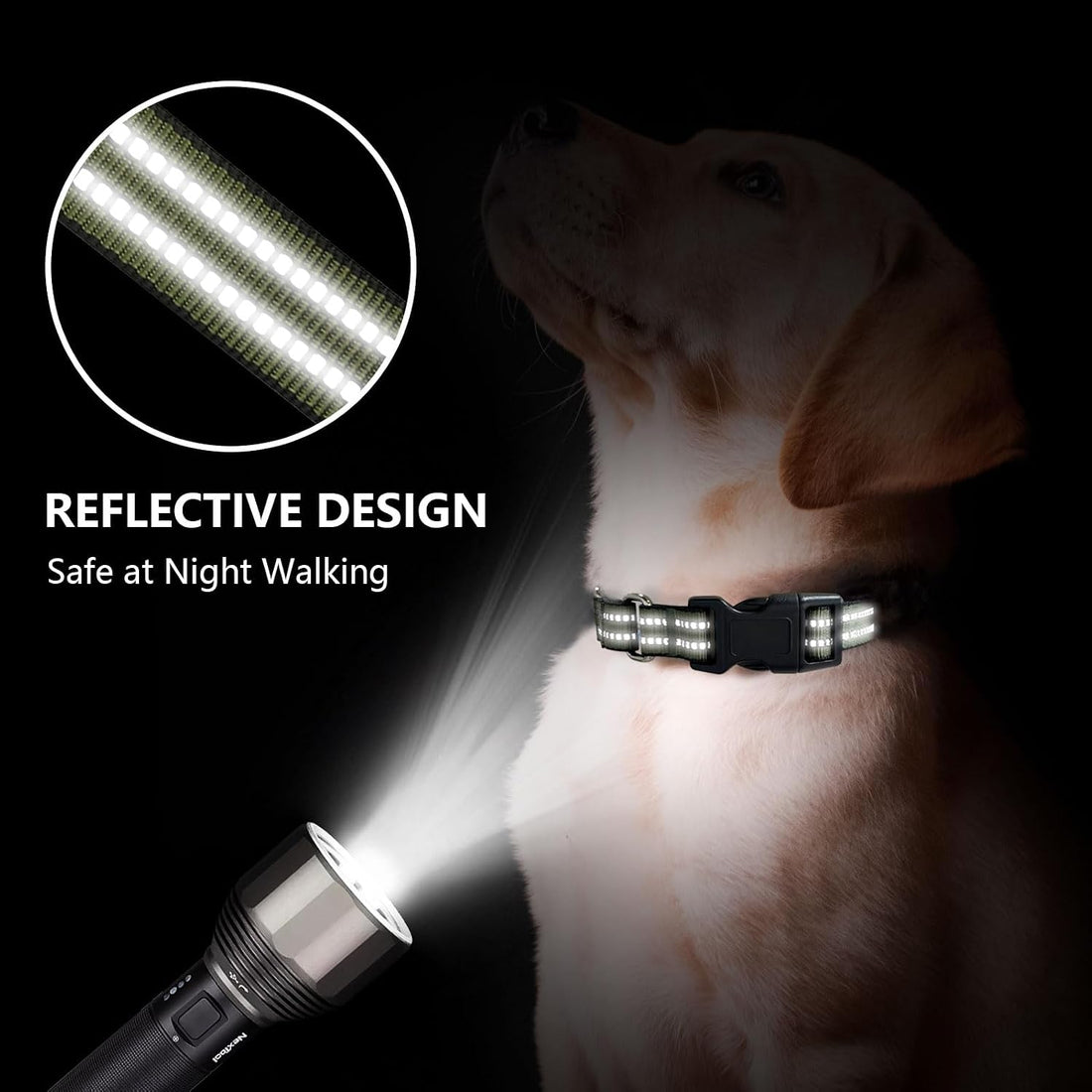 Martingale Collar for Dogs, No Pull No Choking(Forest Green,M)
