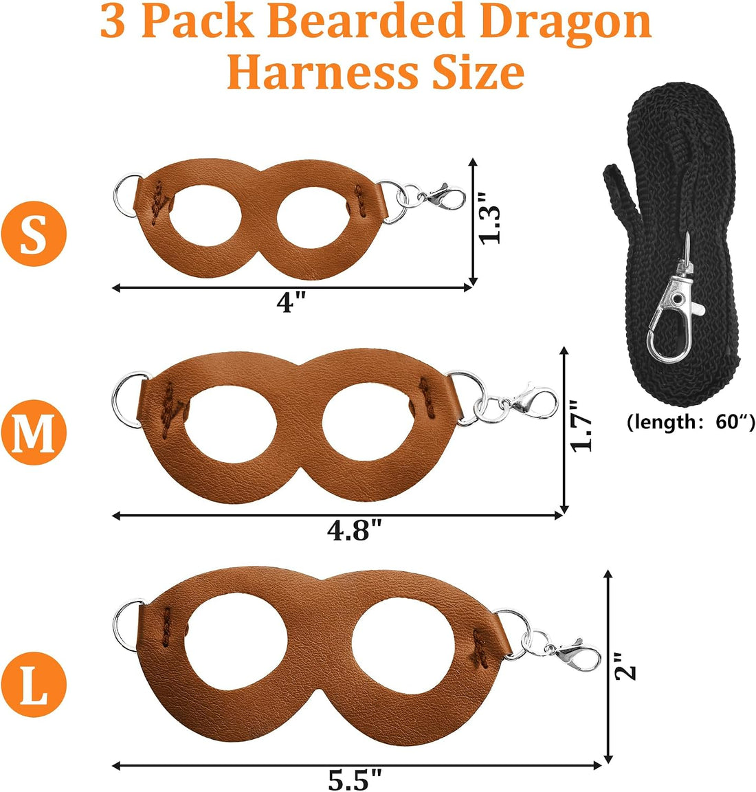 Bearded Dragon Harness and Leash Set