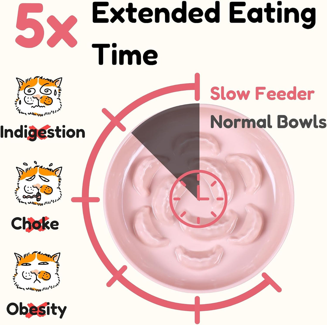2 Pcs Cat Slow Feeder Bowl Set