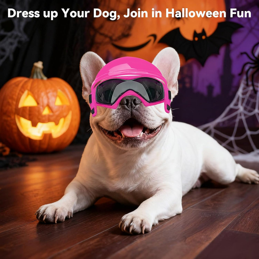 BillionChains Dog Helmet with Goggles