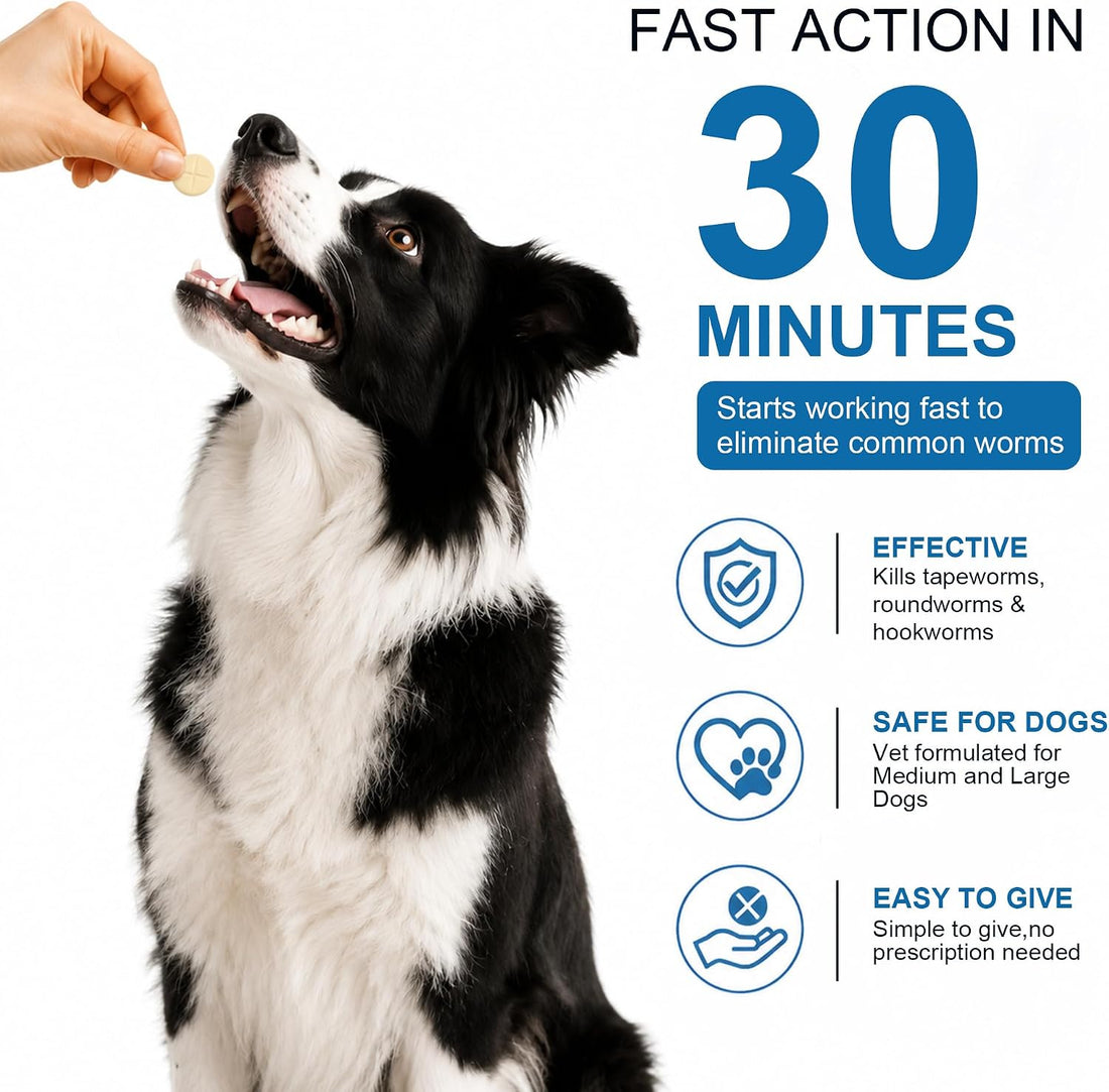 Dewormer for Dogs, Oral Treatment of Tapeworm