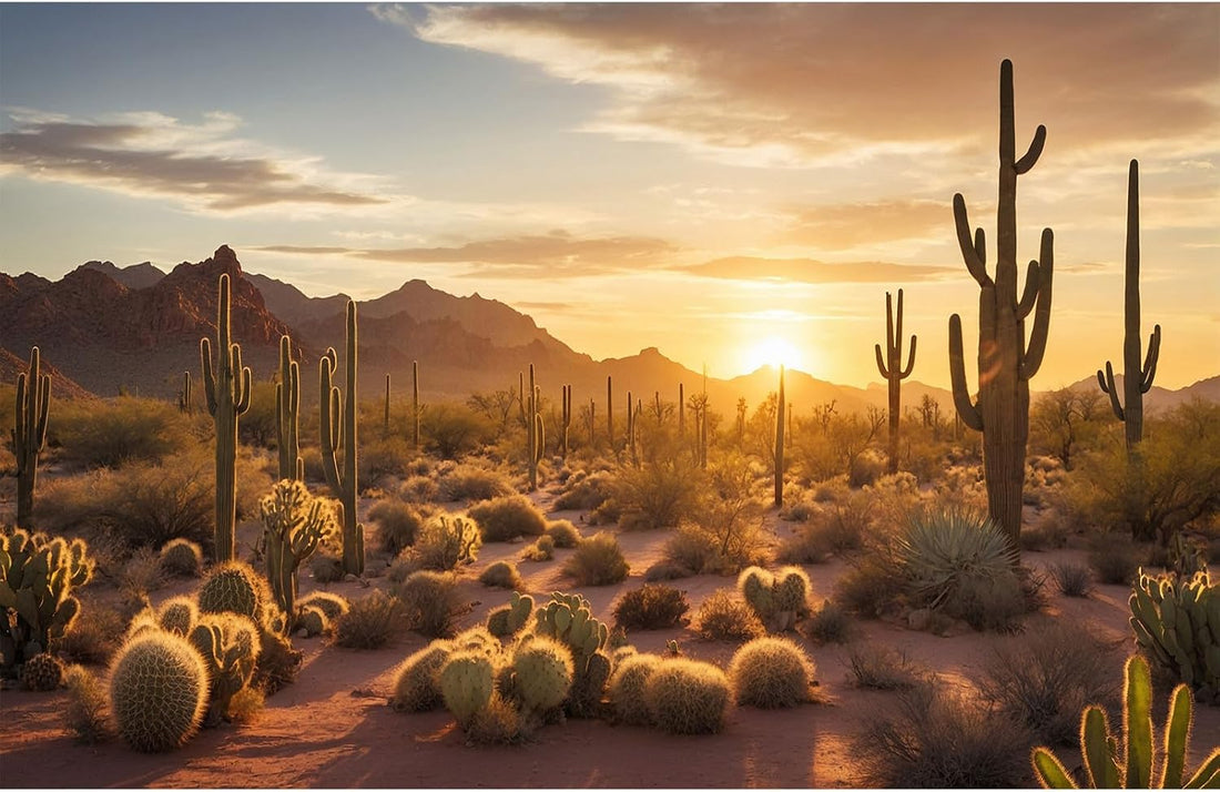 Desert Mountain Reptile Tank Background Sunset Rock Mountain Gobi