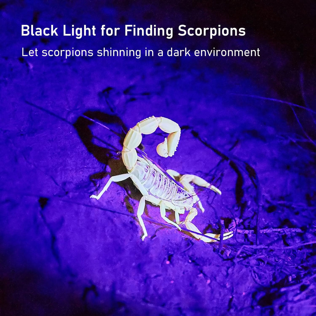 GLOSSDAY UV Flashlight Black Light