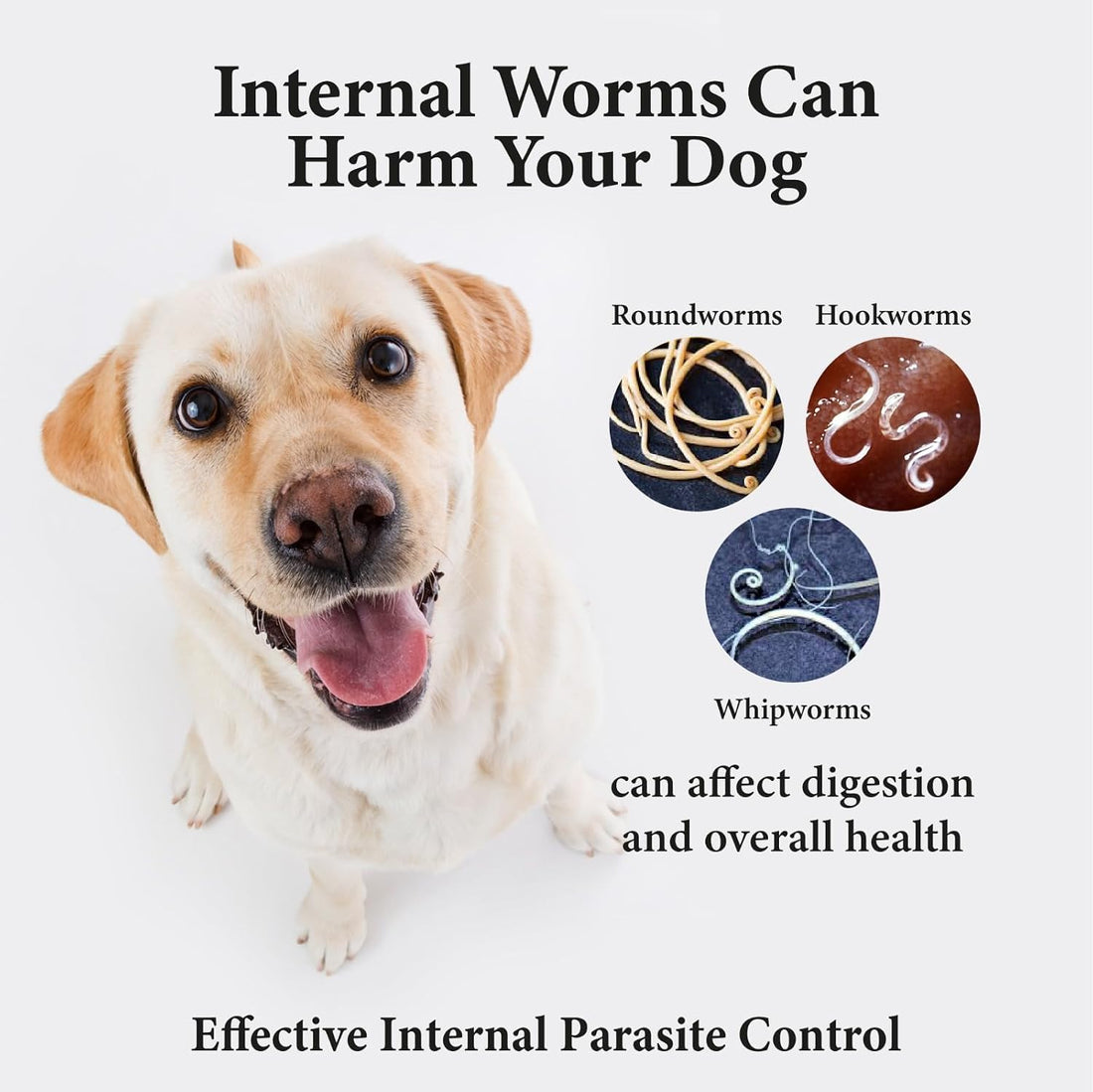 Broad Spectrum Dog Dewormer Treatment 120ml
