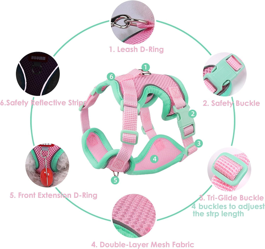 Cat Harness and Leash Set for Walking