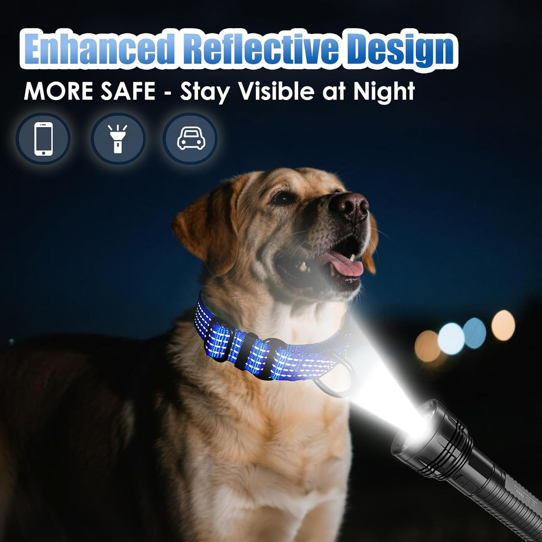 Martingale Dog Collar, Reflective No Pull with Buckle, Blue, M