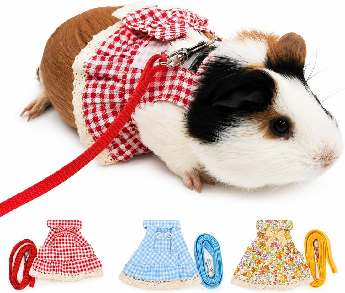 Guinea Pig Harness and Leash Set