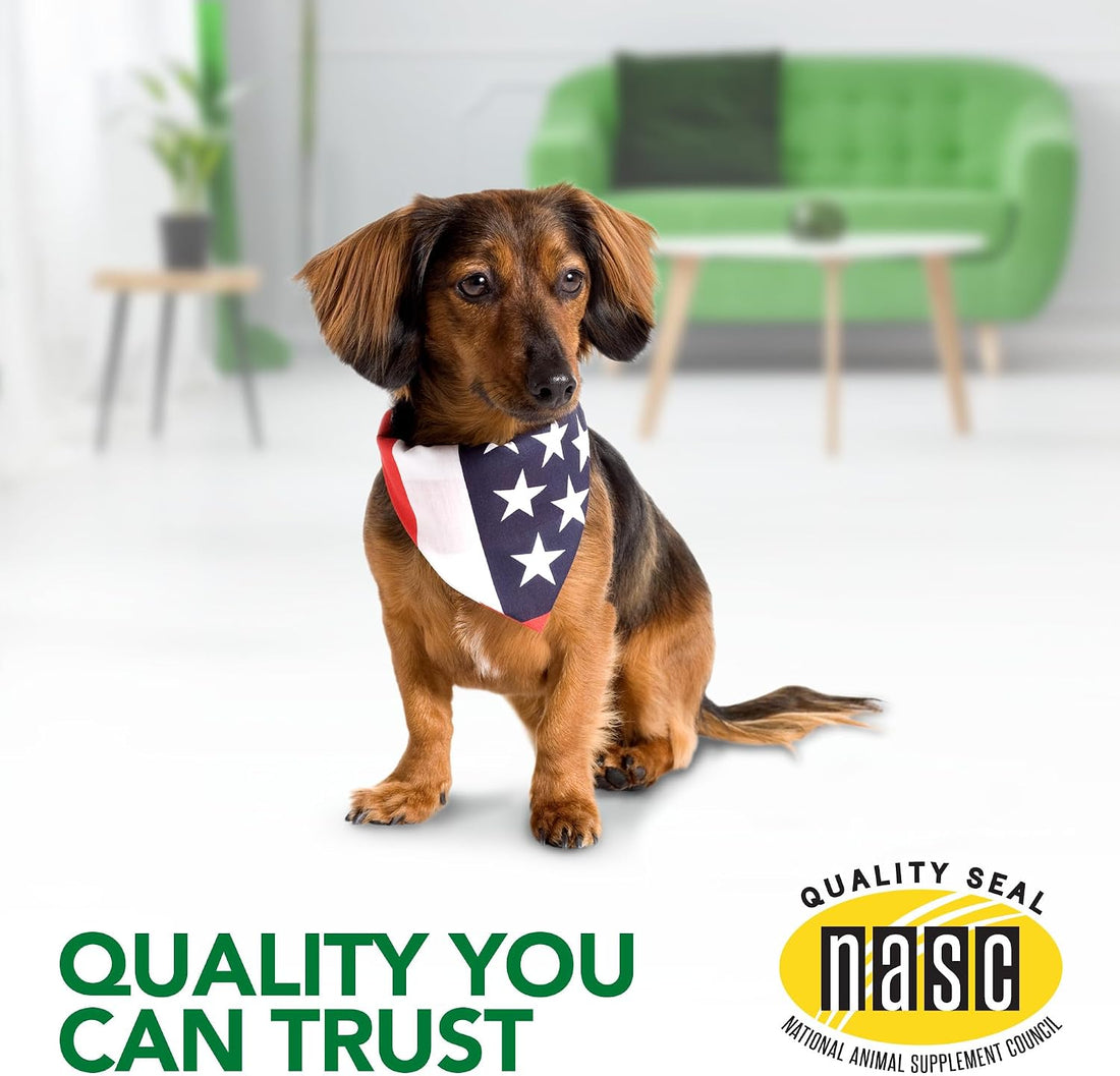 Vet's Best Seasonal Allergy Chewable Tablets for Dogs, Soothes Dog