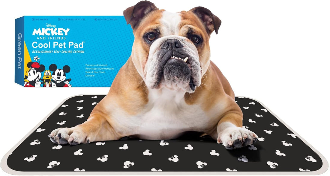 The Green Pet Shop Cool Pet Pad - Medium, Sage Grey - Self-Cooling