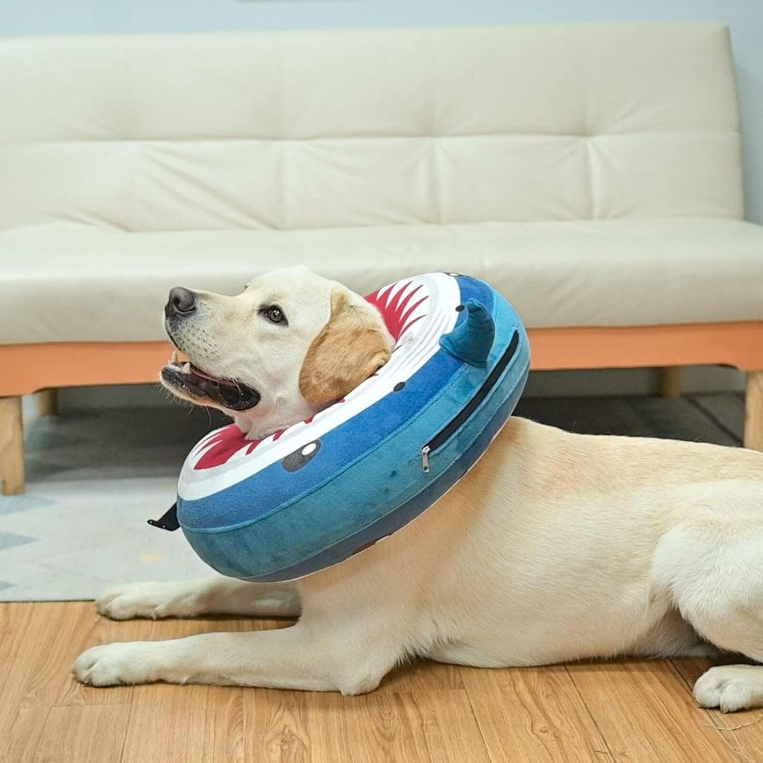BEAUTYZOO Dog Cone Collar Alternative After Surgery,Pet Neck Donut