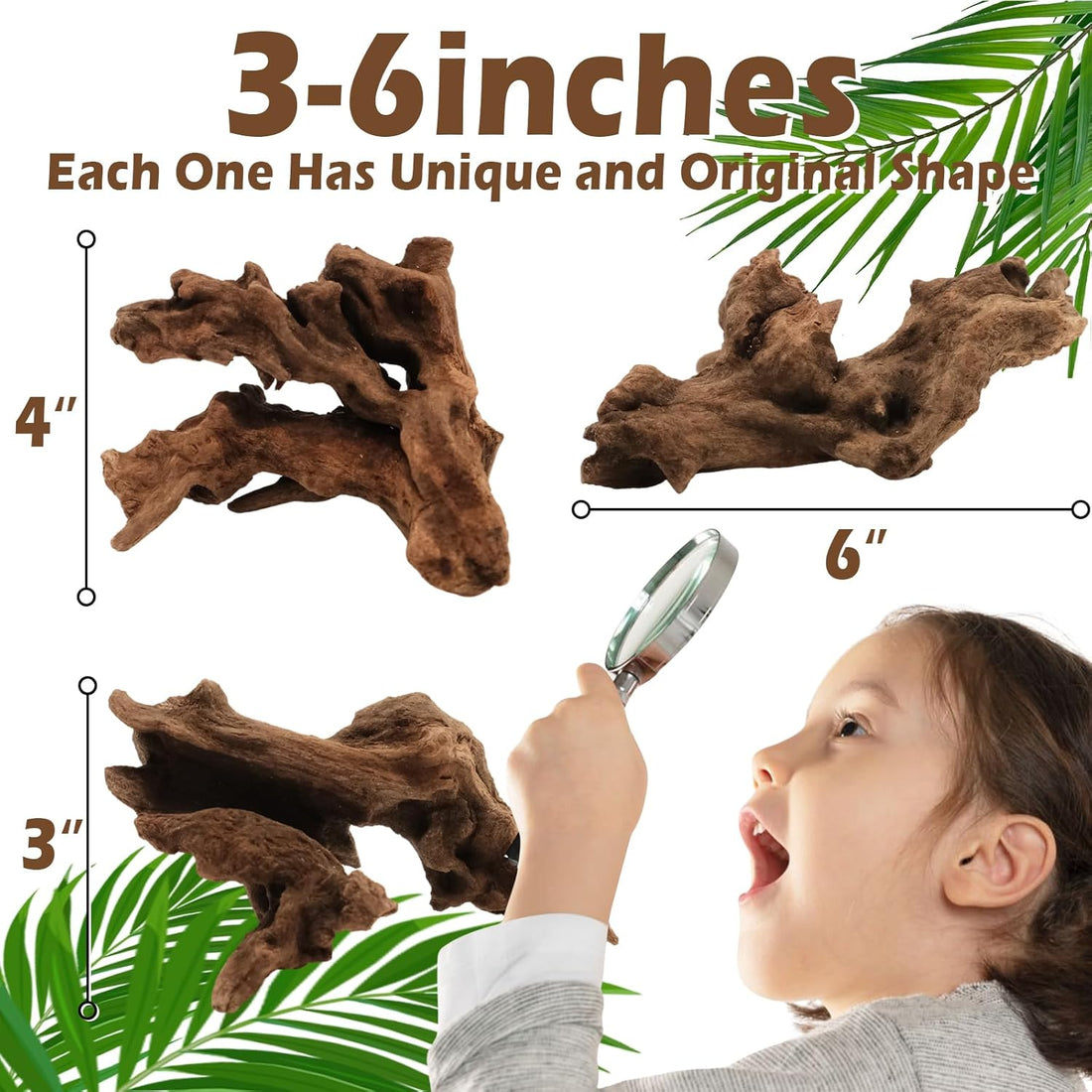 6PCS Natural Driftwood 3"–6" Unique Wood for Aquarium & Reptile Tank