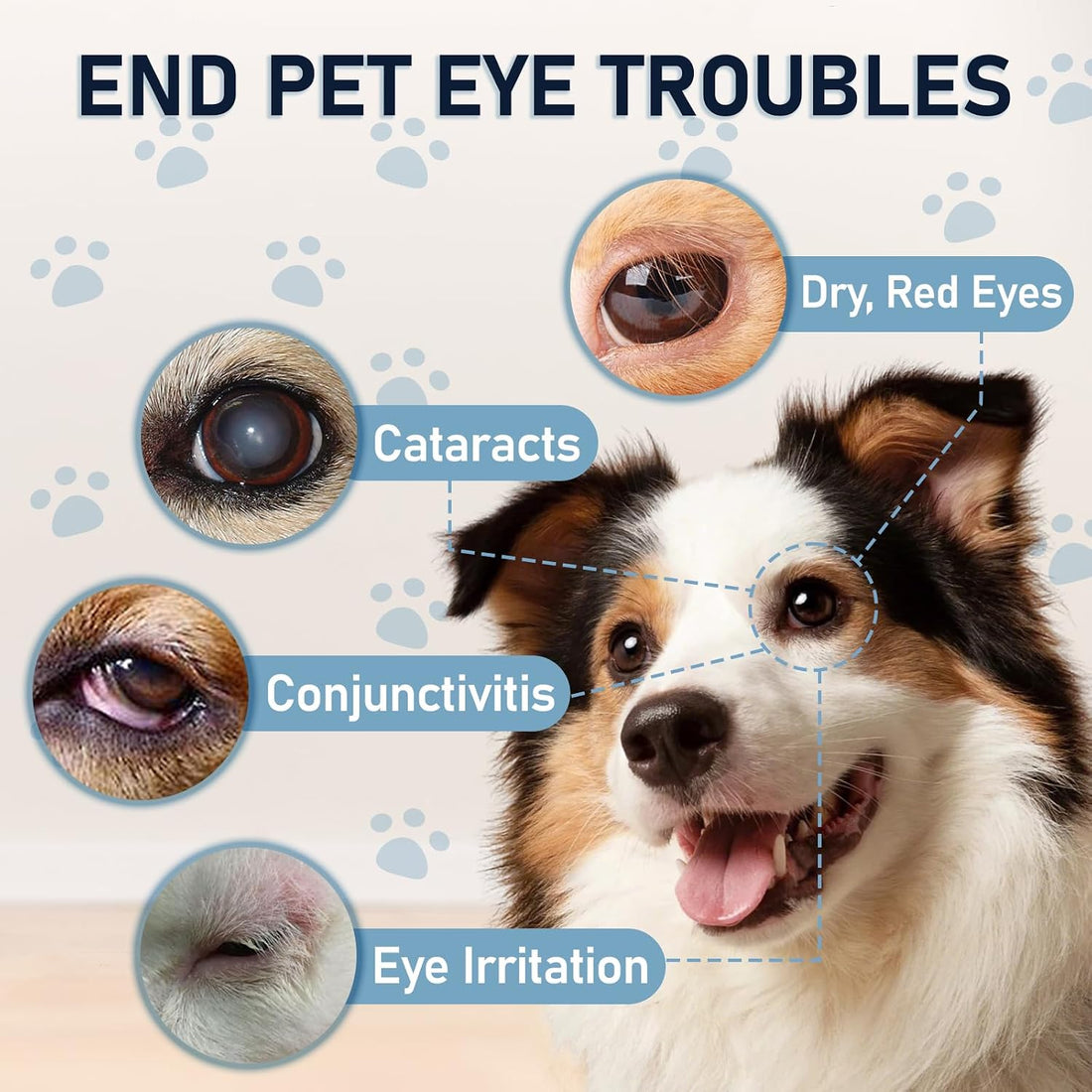 Dog & Cat Cataract Eye Drops & Infection Treatment