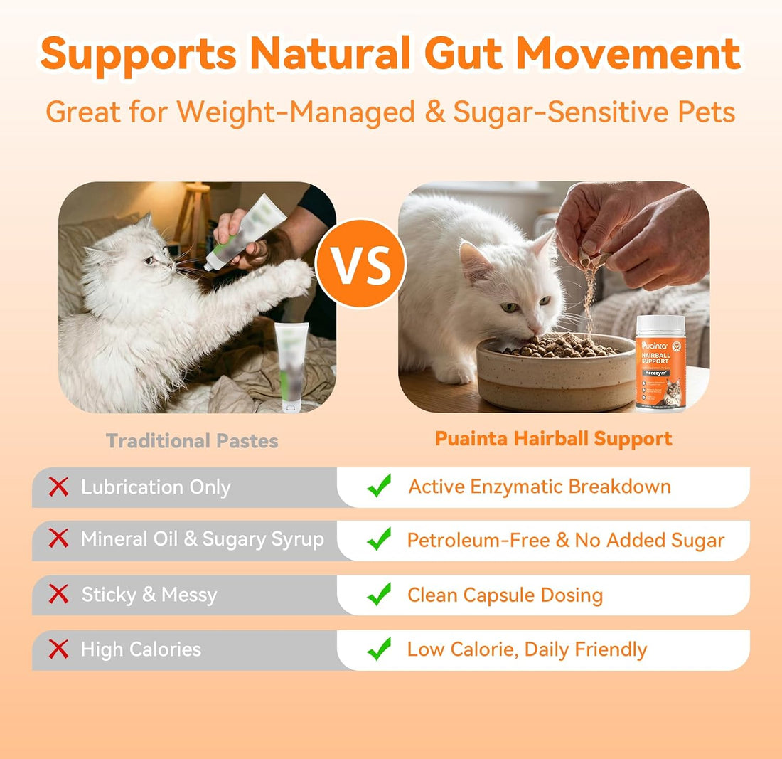 PUAINTA Cat Hairball Control – Alternative to Hairball Gel & Paste