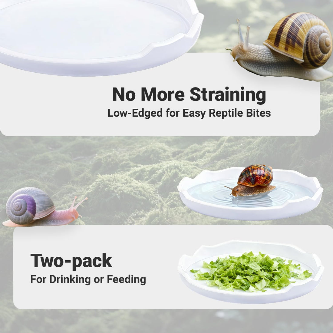 2 Pack Snail Water and Food Bowl,atural Design Food Bowl for Pet