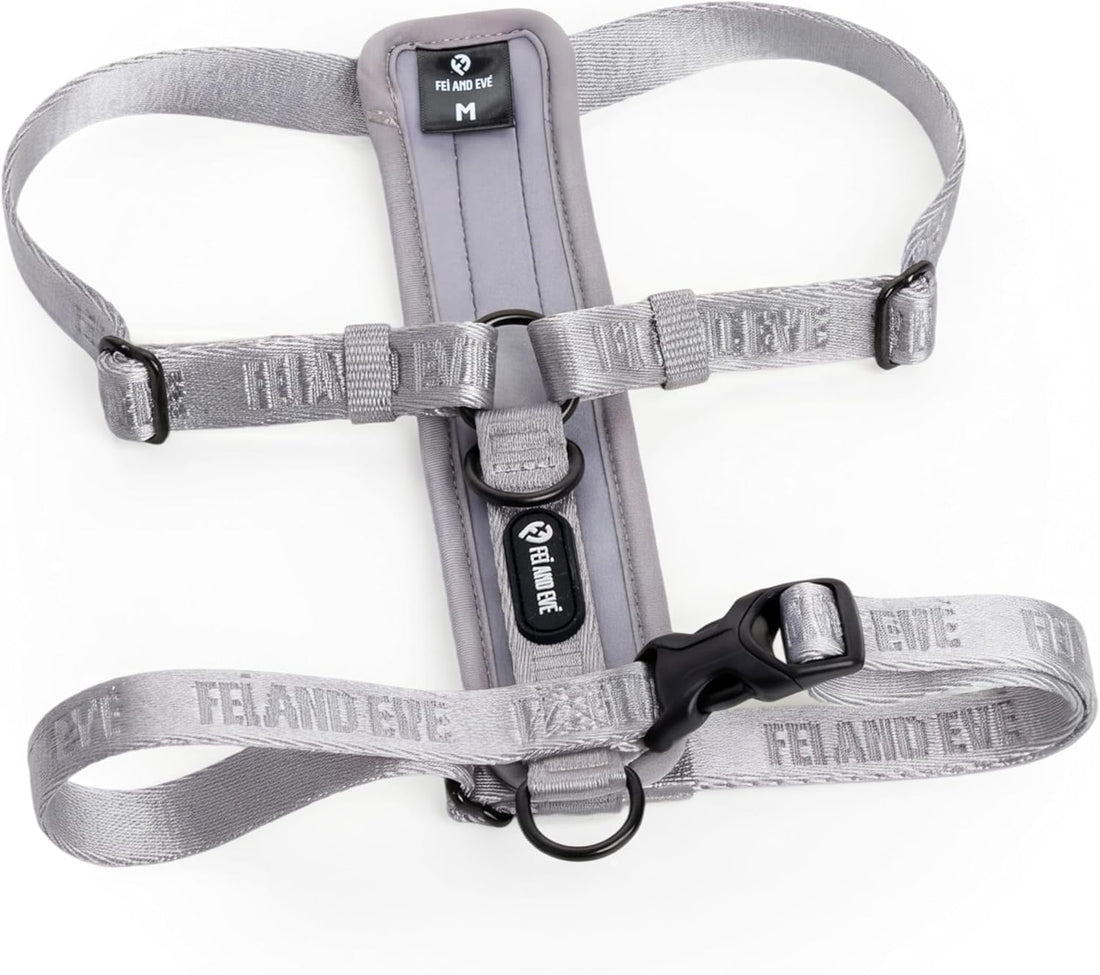 Fei & Eve Moxie Dog Harness for Small & Medium Dogs