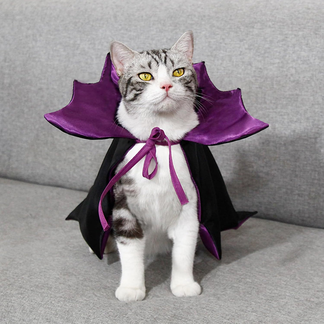 Qiansail Cat Cape Vampire Cloak Halloween Dog Costume Pet Cosplay