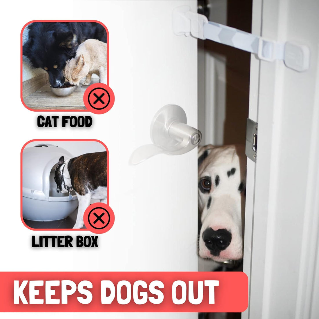 Door Buddy Pet Door Latch for Cats