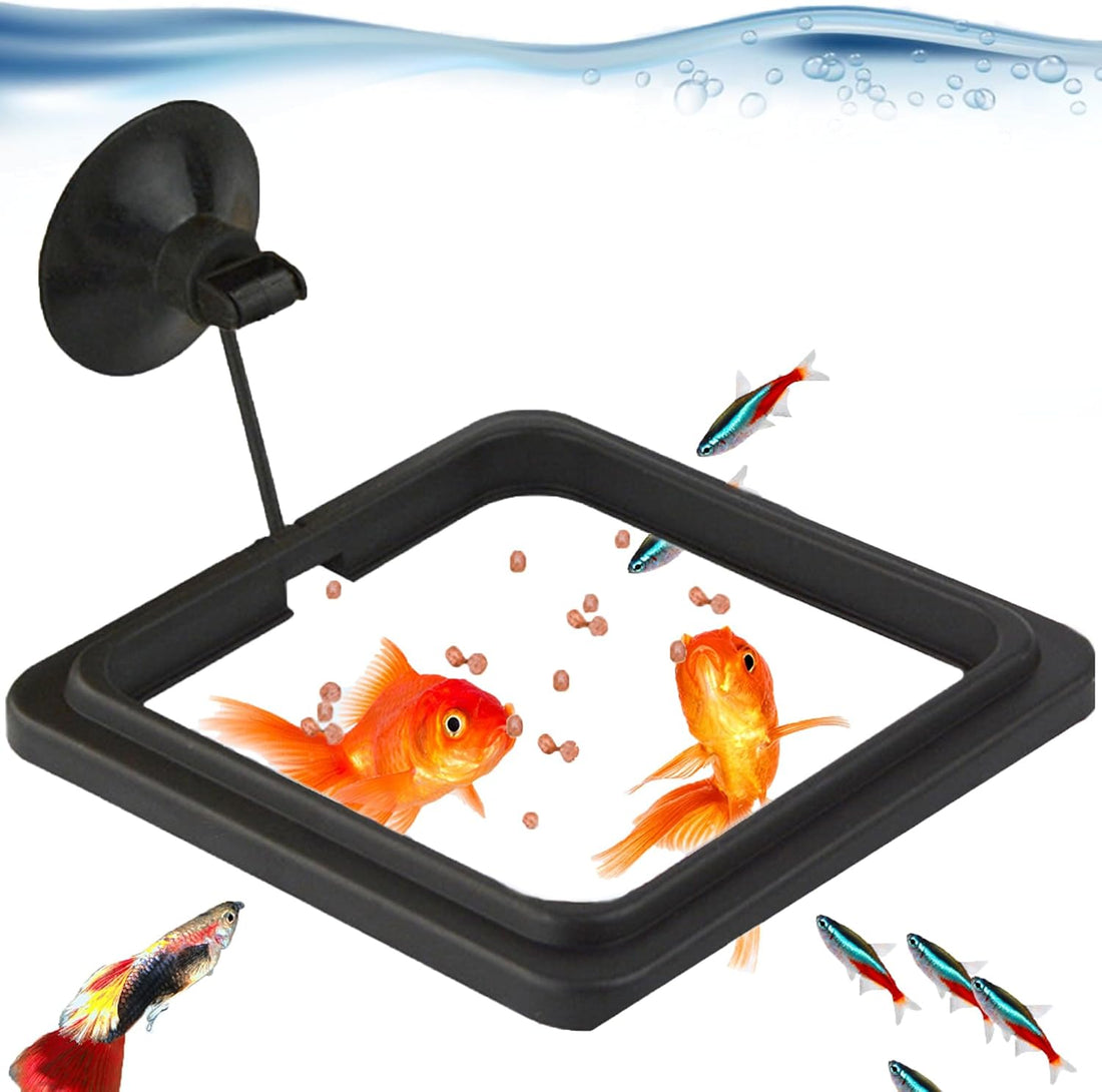 SunGrow Fish Food Feeding Ring
