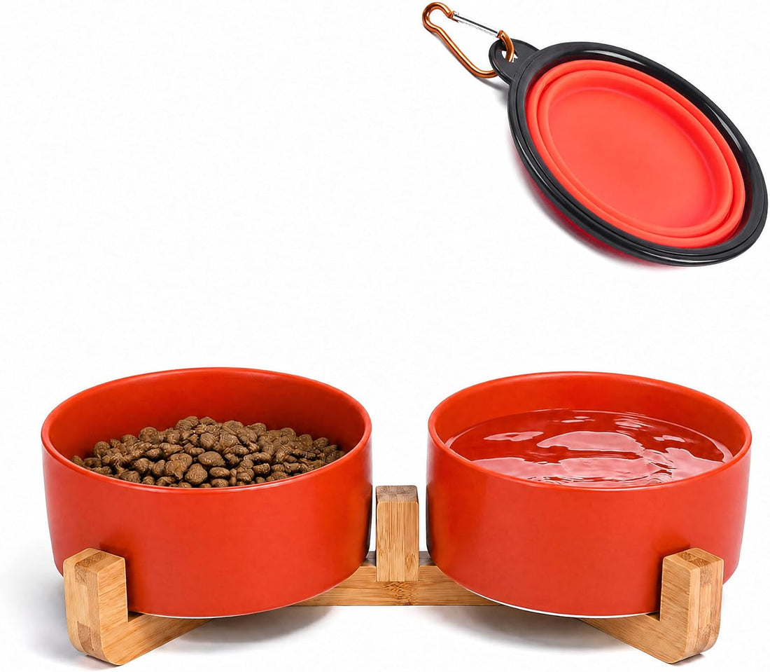 Petygooing Ceramic Dog Cat Bowls Set with Stand,Black Pet Food