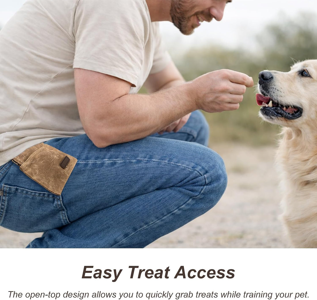 Portable Dog Treat Pouch for Training