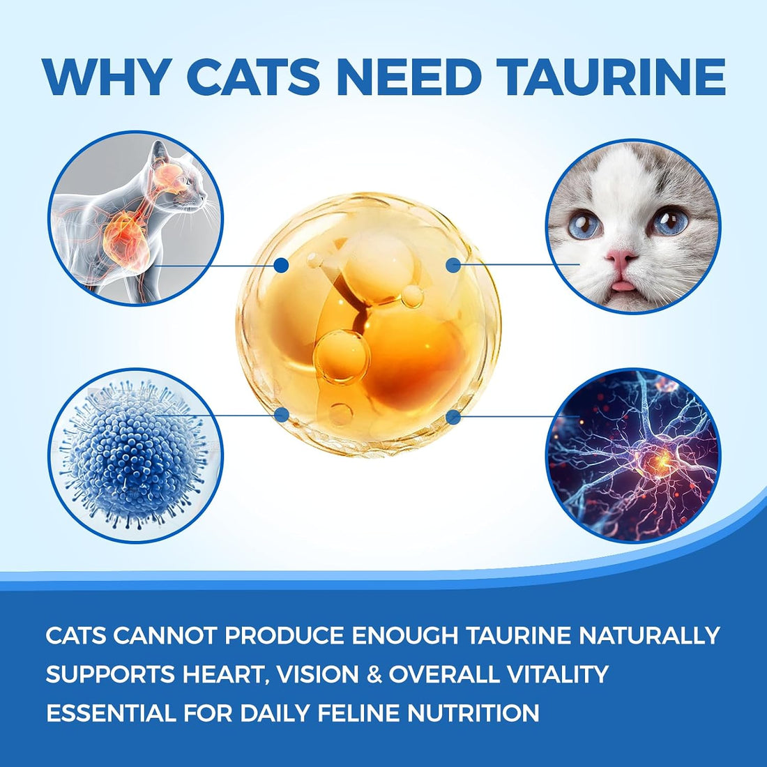 Kittysupps Taurine Powder for Cats, Kitty Supps Taurine Supplement, Grade Amino Acid Supplement for Heart, Vision & Daily Wellness, 200 Grams (1pcs)