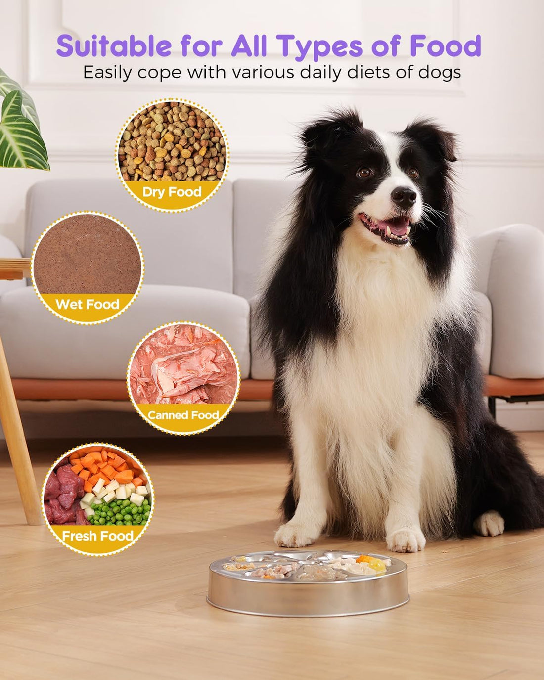 Oiwliur Slow Feeder Dog Bowls