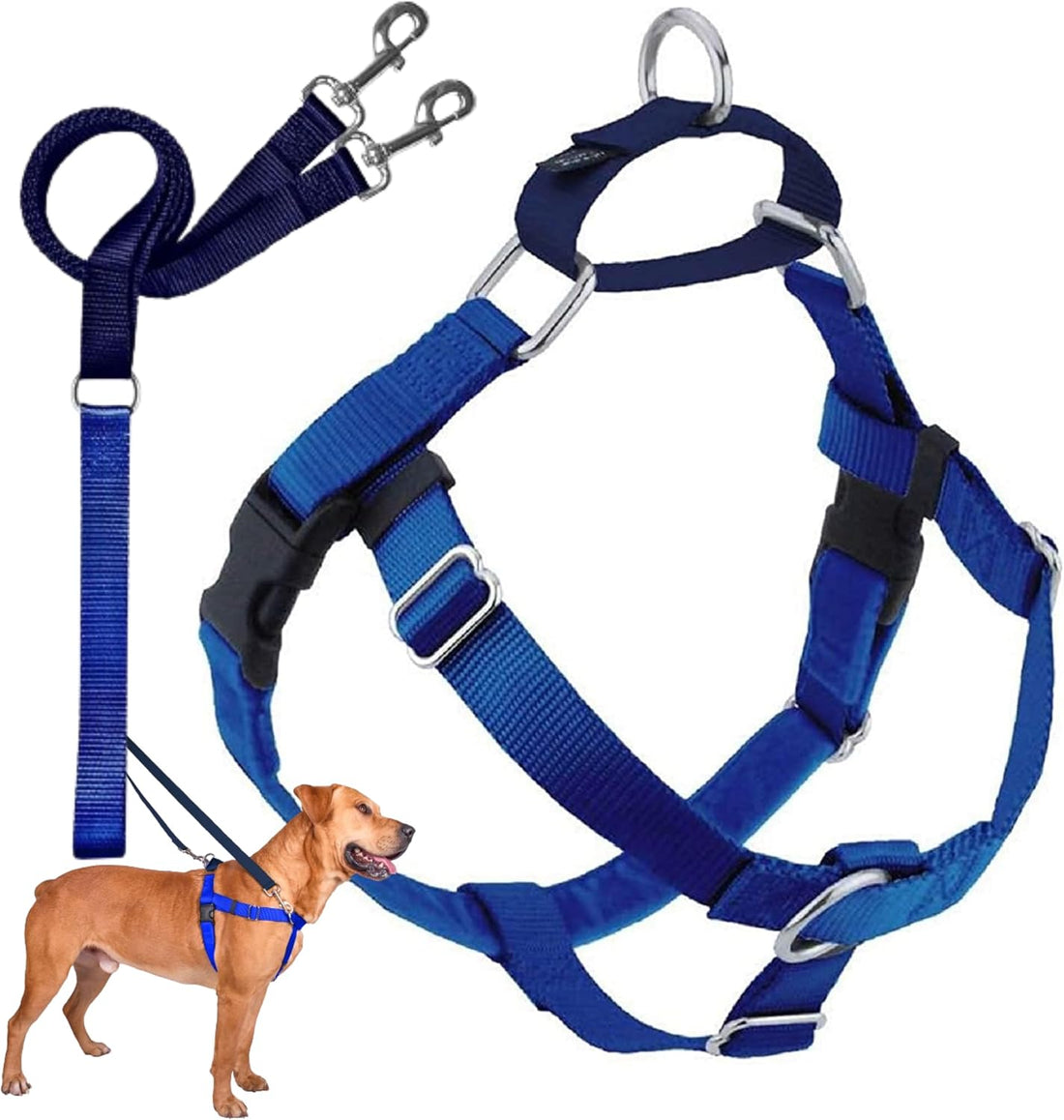 2 Hounds Design Freedom No Pull Dog Harness and Leash, 1" LG