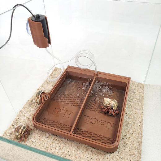 Hermit Crab Bubbler Pool,Dual Freshwater & Saltwater Zones Water Bowl