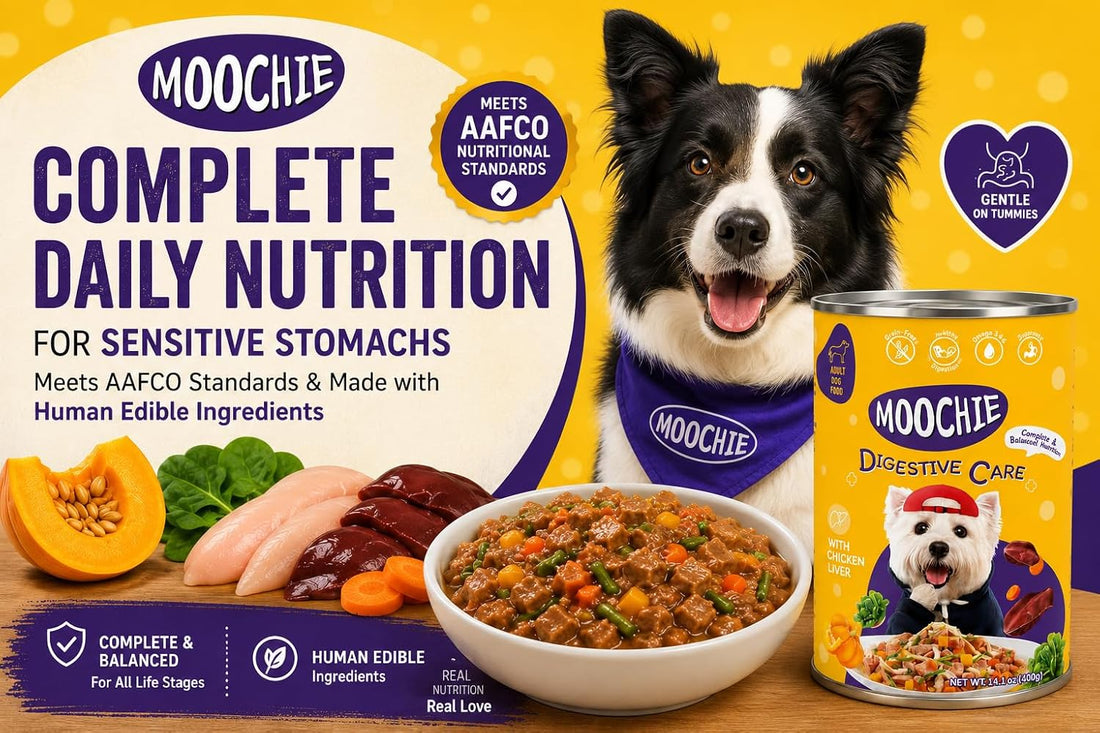 MOOCHIE Digestive Care Wet Dog Food for Small Breeds, Chicken & Beef