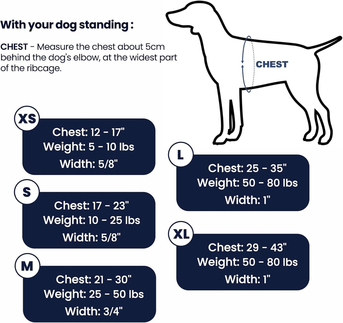 Non Restrictive No Pull Dog Harness, Medium