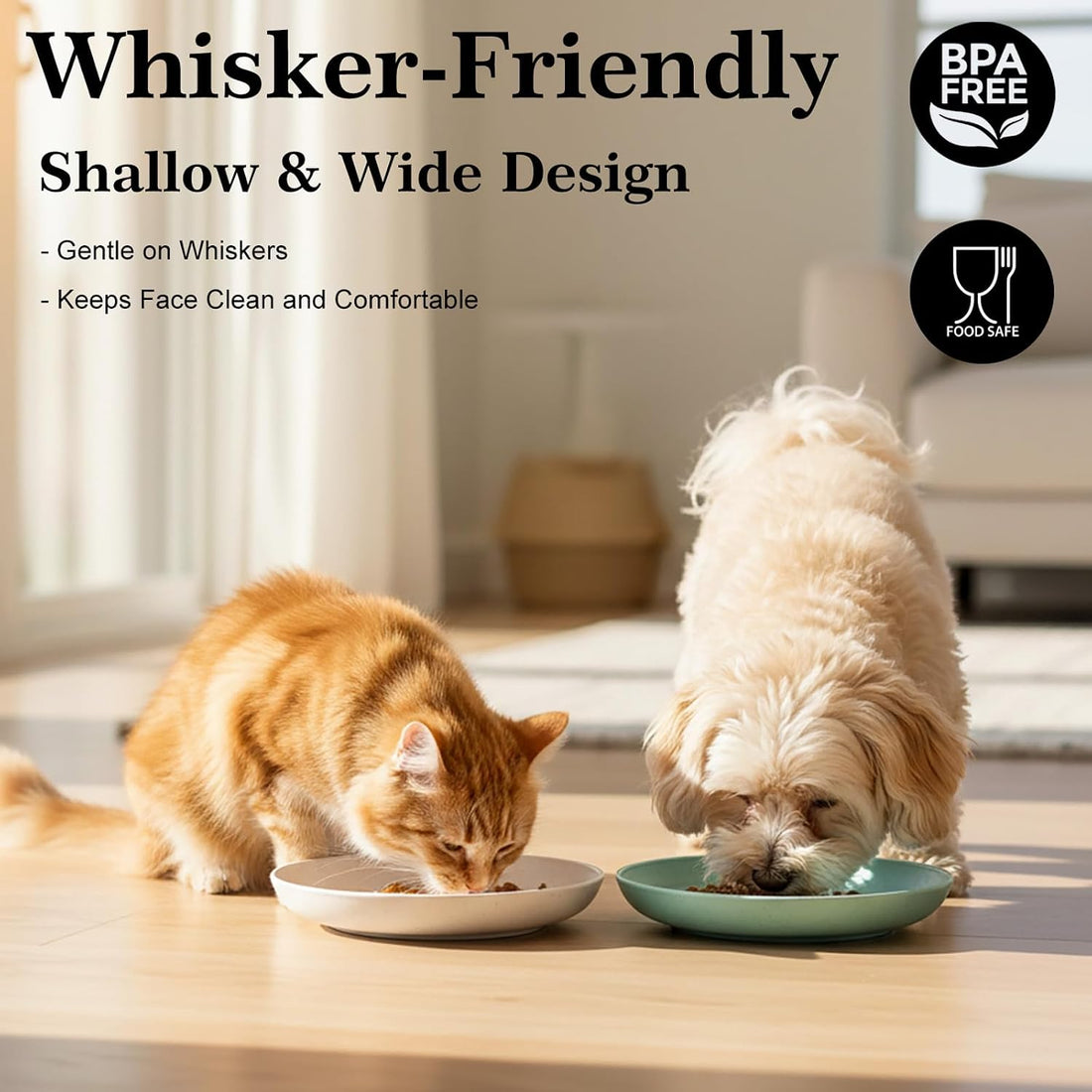 GENLGE 8 Pack Cat Bowls, Cat Food Bowl