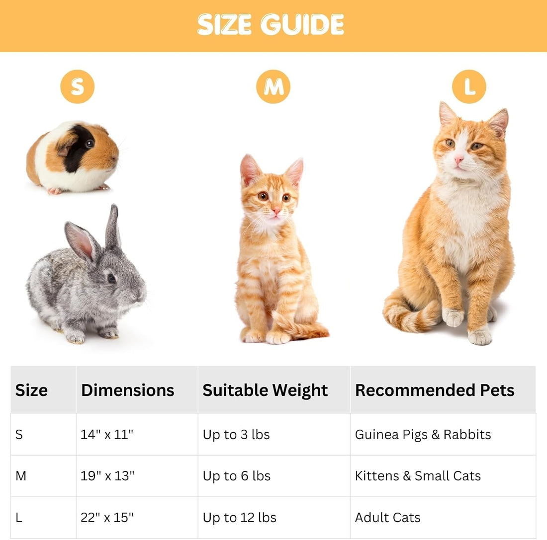 4 Pack Cat Bed Mat, 19" x 13" Soft Fluffy Flannel Small Pet Blanket