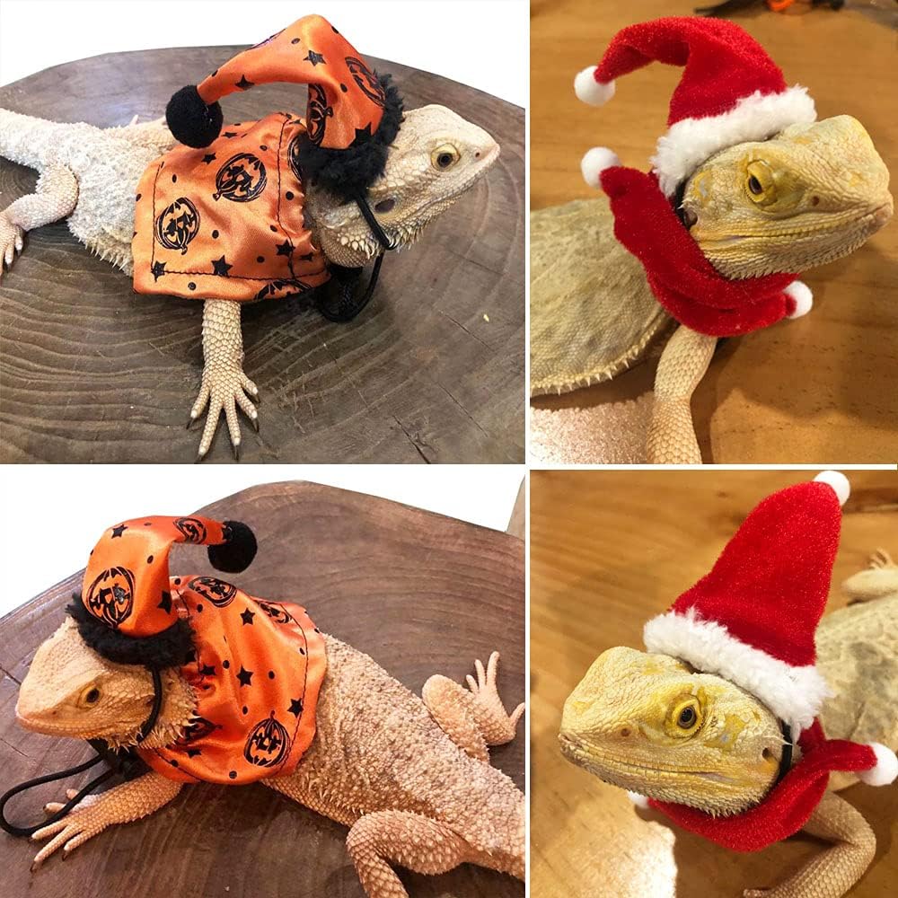 ADOGGYGO Halloween Christmas Bearded Dragon Costume Clothes, 2 Set