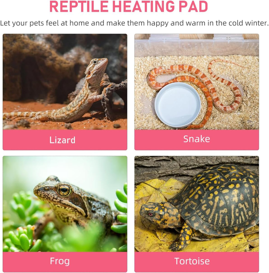balacoo 2 Pcs Reflective Insulation Reptile Mat