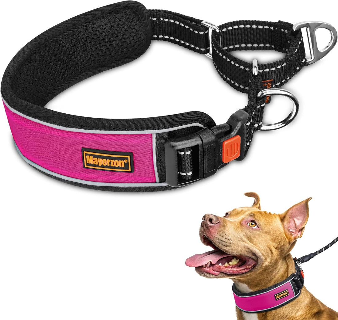Mayerzon 2" Wide Martingale Collar for Large Dogs No Pull Dog Collar