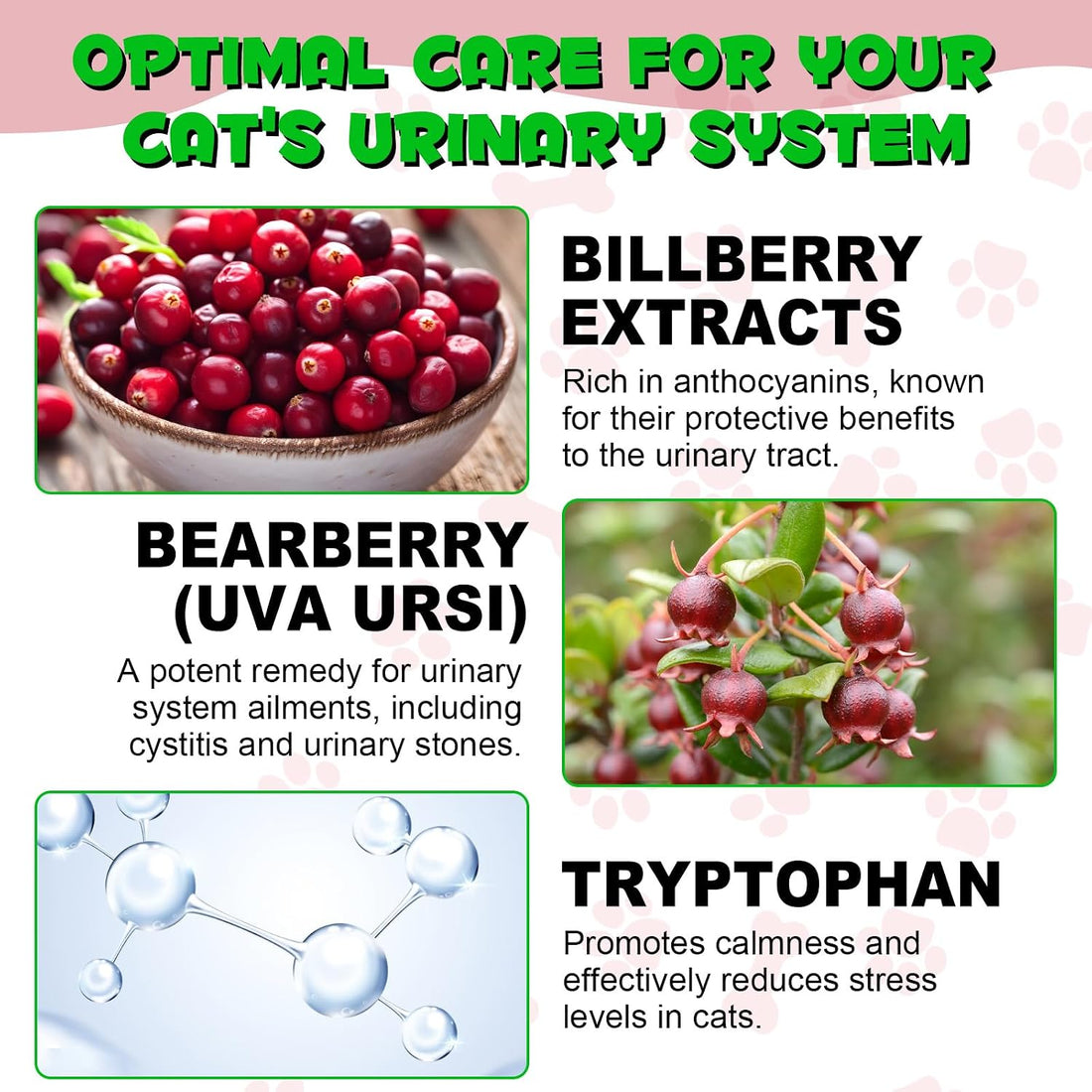 Urinary Tract for Cats, Natural Cat Urinary Tract Drops