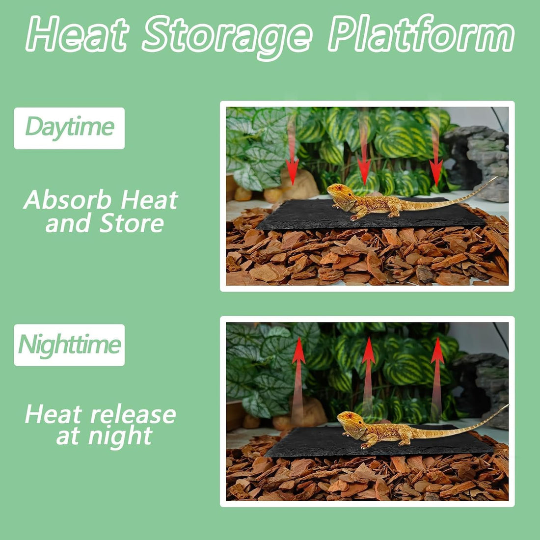 Bearded Dragon Basking Platform Rock Slate with Bark Substrate,M