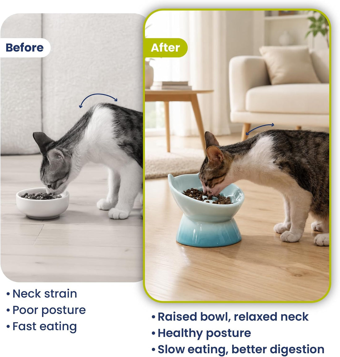 PawsPik Lynx Ceramic Raised Slow Dog & Cat Elevated Food Bowl