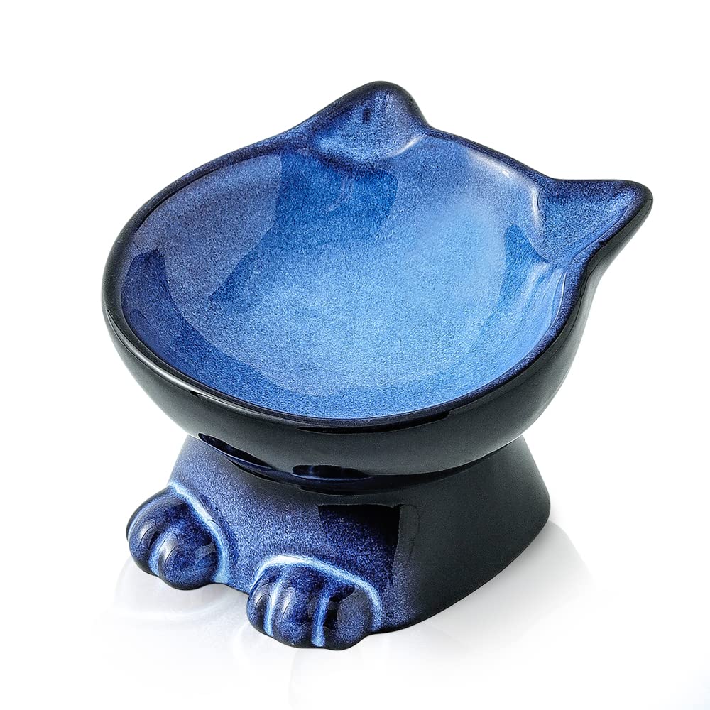 Nihow Slanted Elevated Cat Bowls