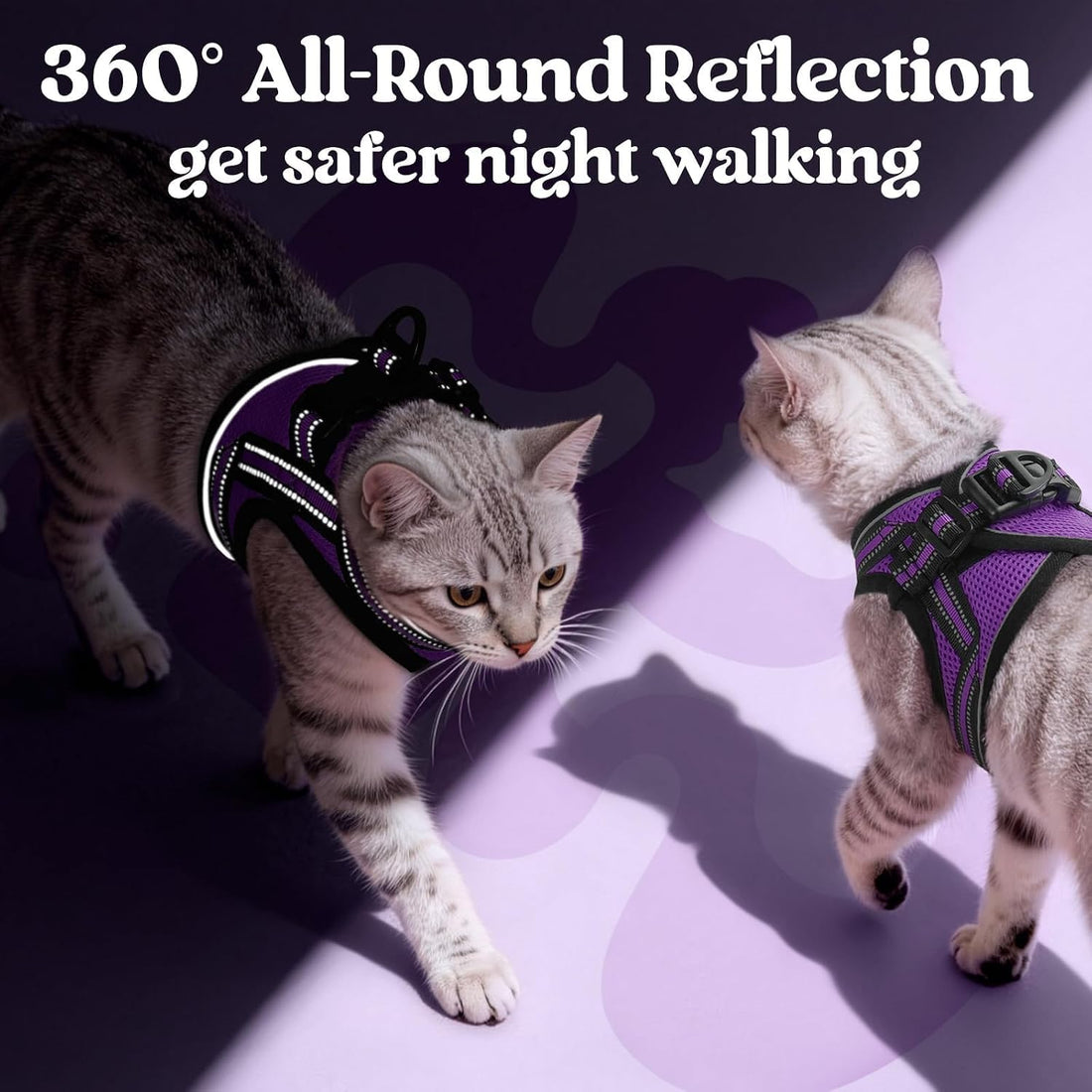 rabbitgoo Cat Harness and Leash