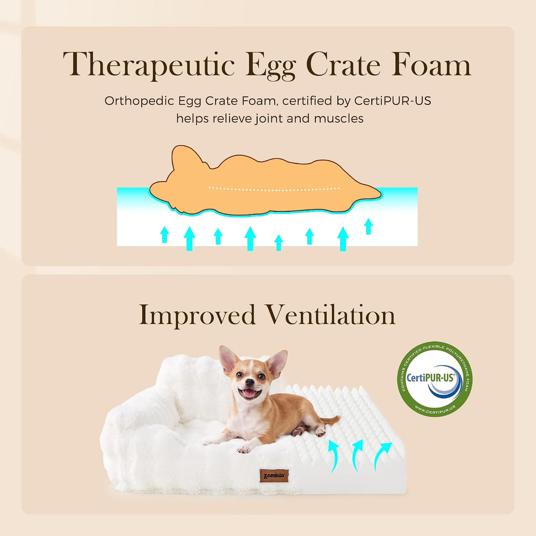ZOMISIA Orthopedic Cat Couch Bed for Indoor Cats