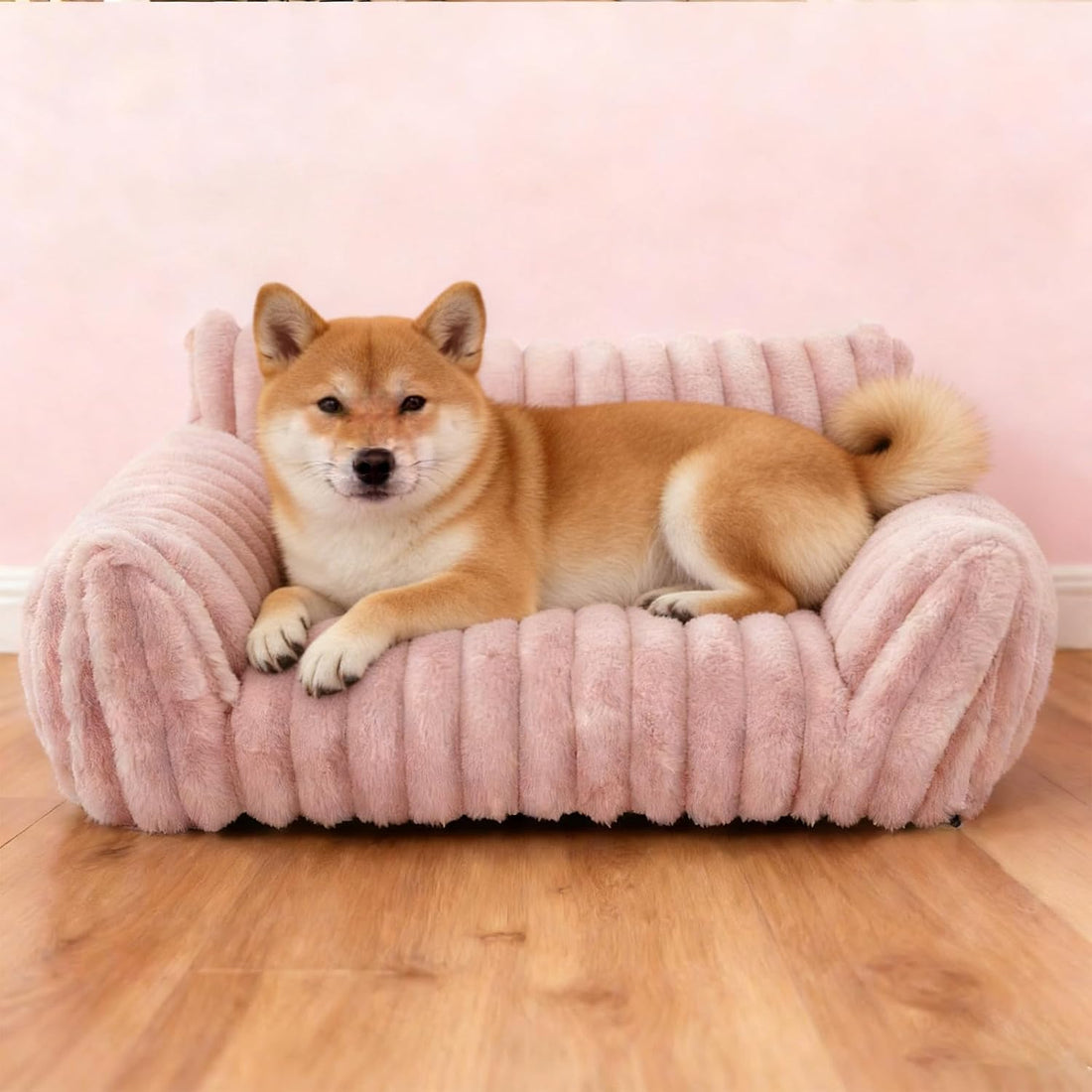 Cat Couch for Pets - Cute Cat Beds for Indoor Cats with Removable