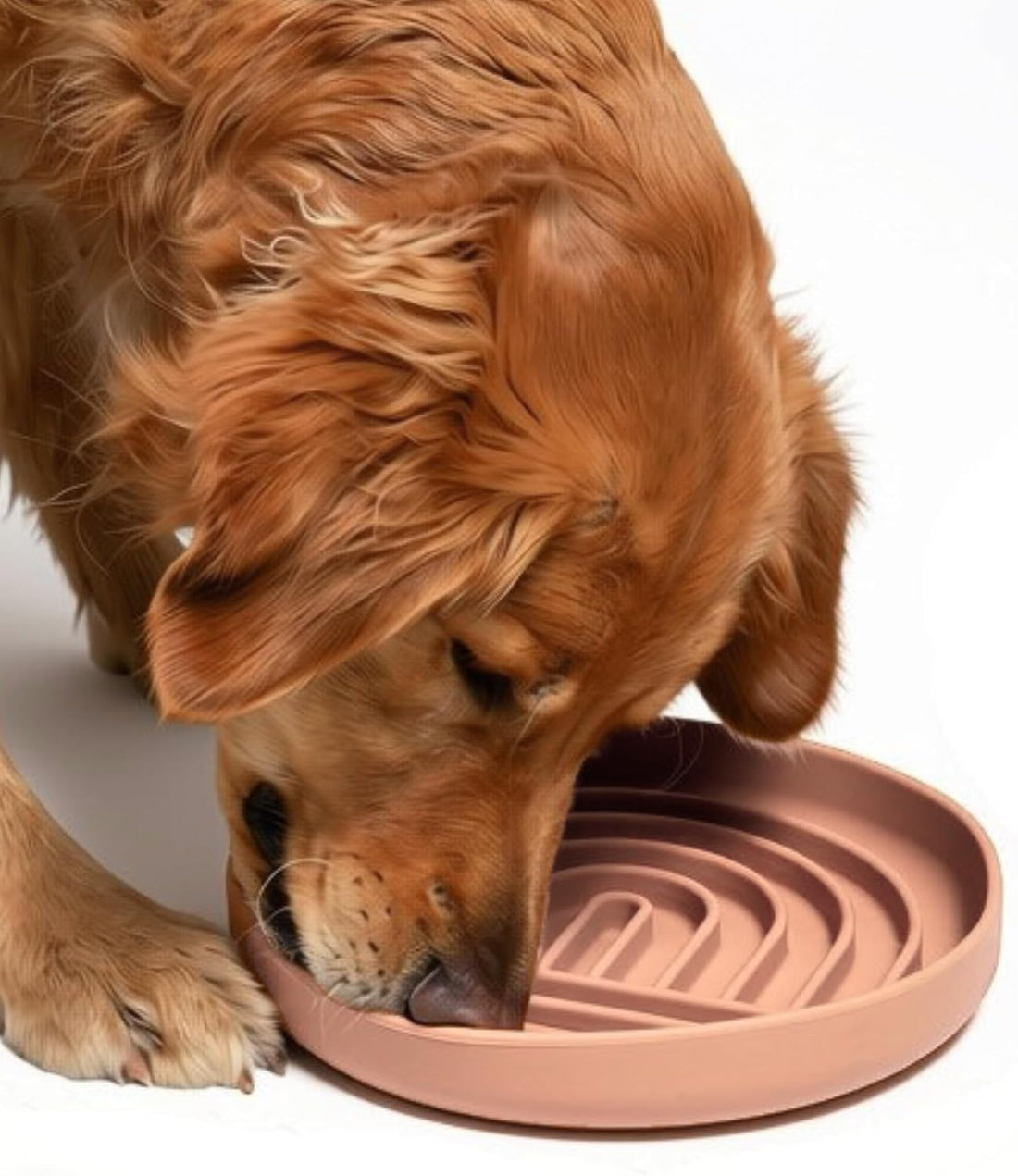 Slow Feeder Dog Bowl - Silicone Dog Bowl, Small, 6" x 1.25"
