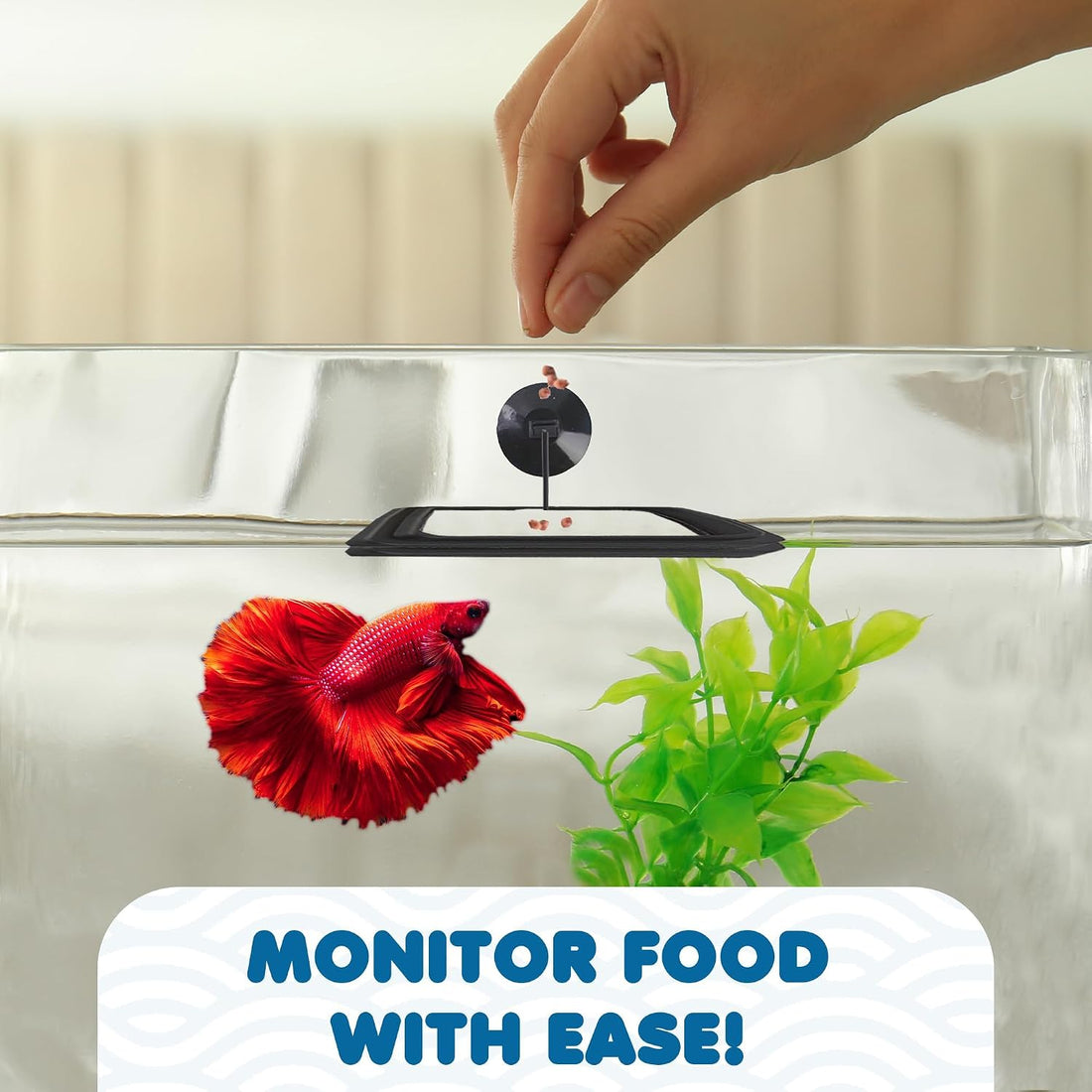 SunGrow Fish Food Feeding Ring