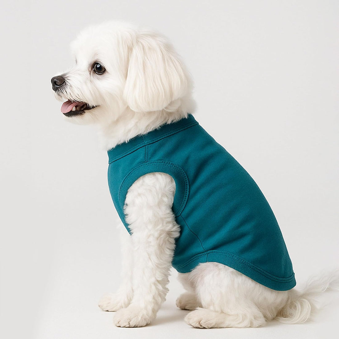 2 Pieces Dog Clothes for Small Dogs Girl Boy Chihuahua Clothes Summer