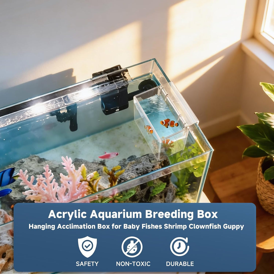 Hatchery Incubator Tank for Fish & Corals, Drip Acclimation Container
